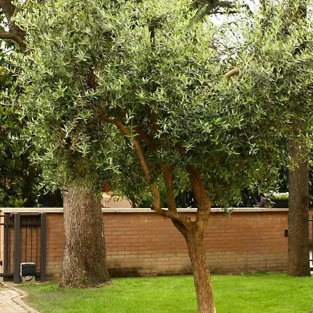 伊格50号住宿加早餐酒店 3*