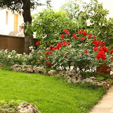 Igea 50 4*