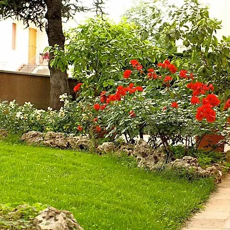 Igea 50 Modena