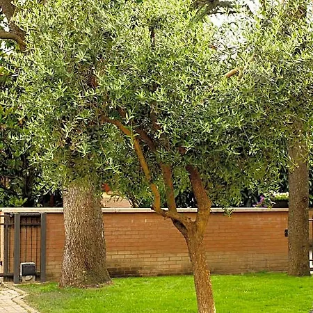 Bed & Breakfast Igea 50 4*