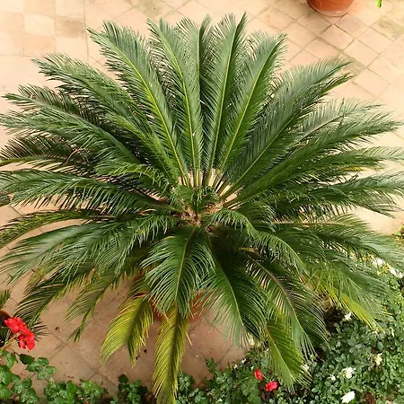 住宿加早餐酒店 伊格50号住宿加早餐酒店 3*