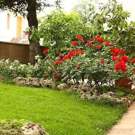 Bed & Breakfast Igea 50